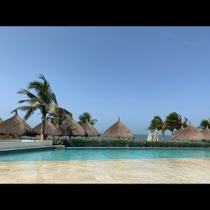 Meet your Posher, Suzanne